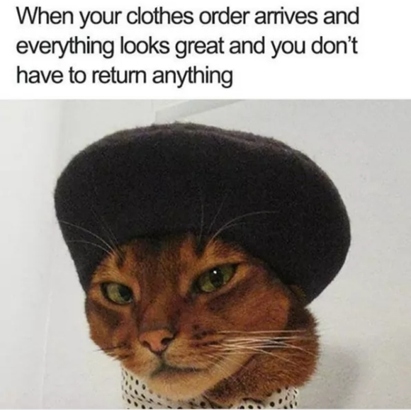 Hello Its Me -Adele Voice *Posh Ambassador 5/20/18 - Picture 8 of 16